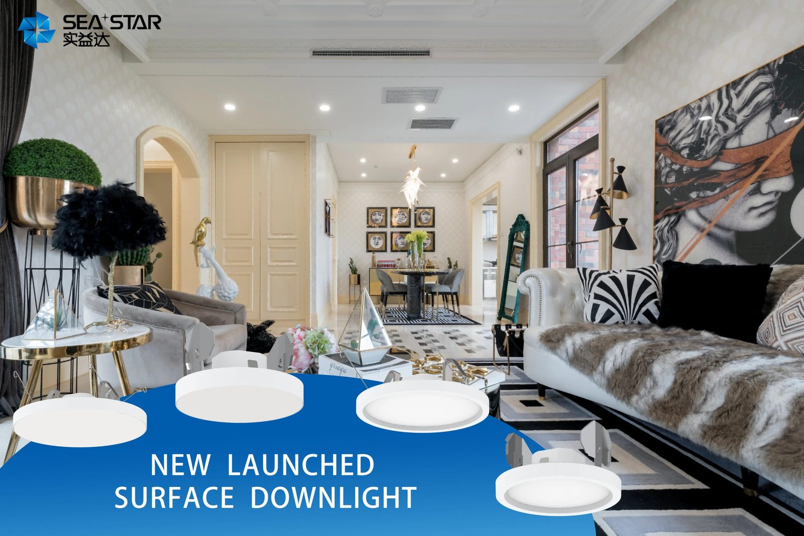 New Launched--FMX11 Surfahce Downlight